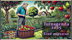 Tuinagenda 2025 Eind Augustus