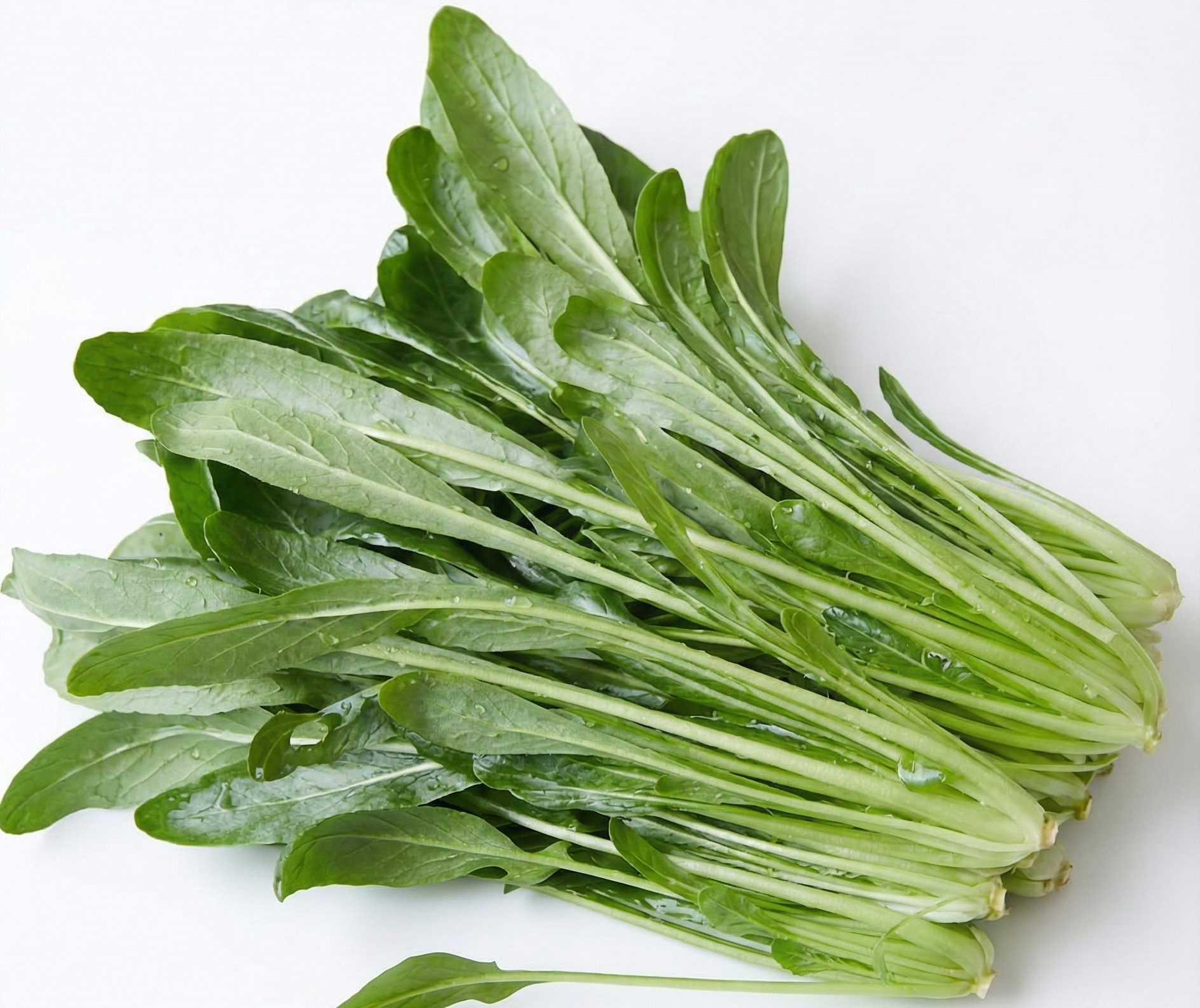 Mibuna uit eigen tuin