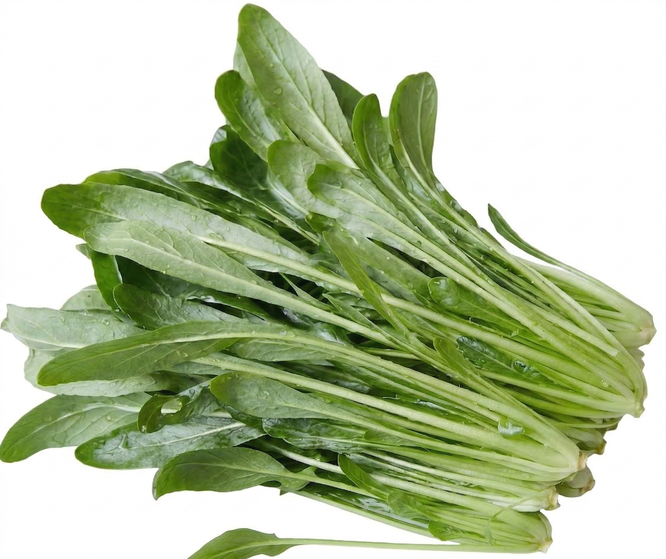 Mibuna uit eigen tuin