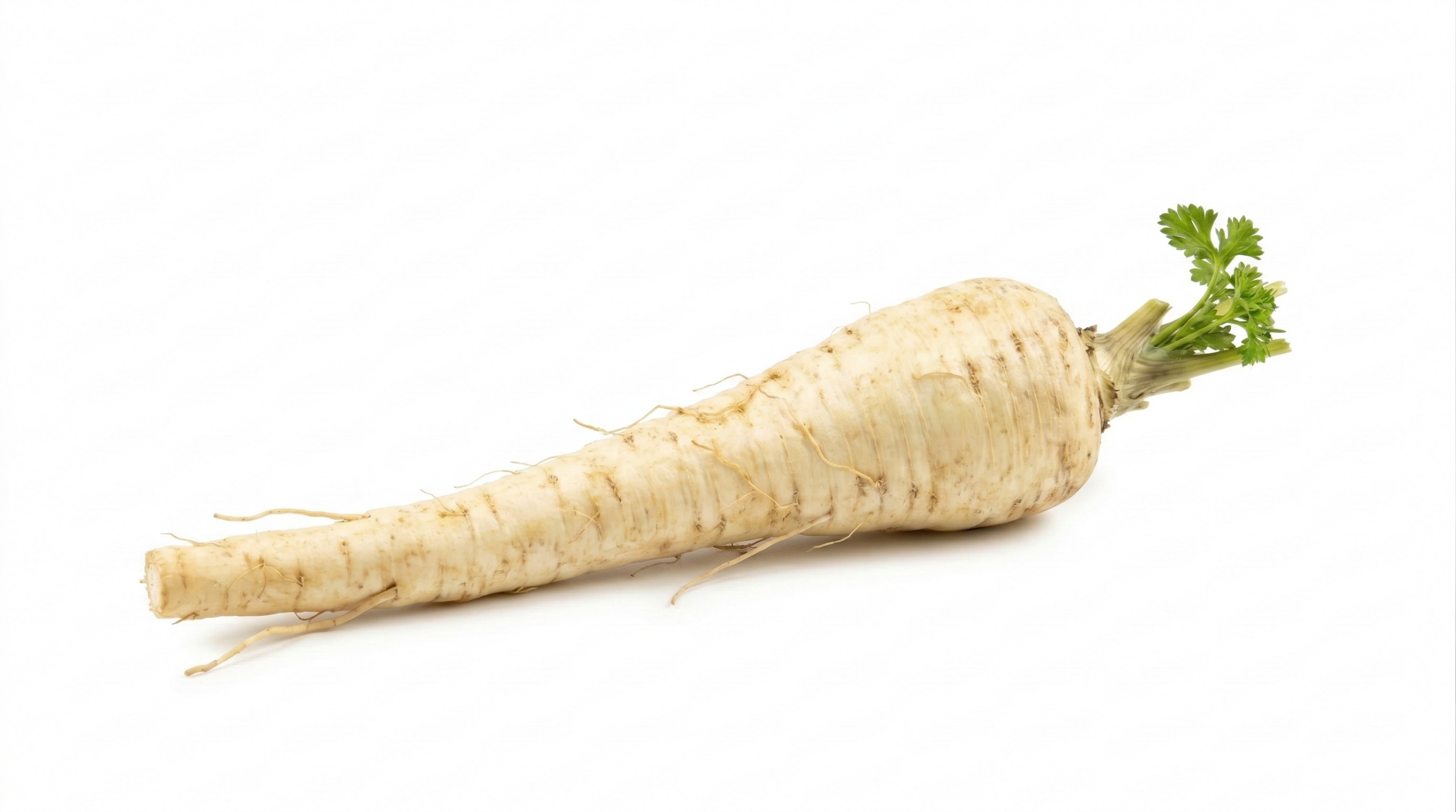 Peterseliewortel uit eigen moestuin