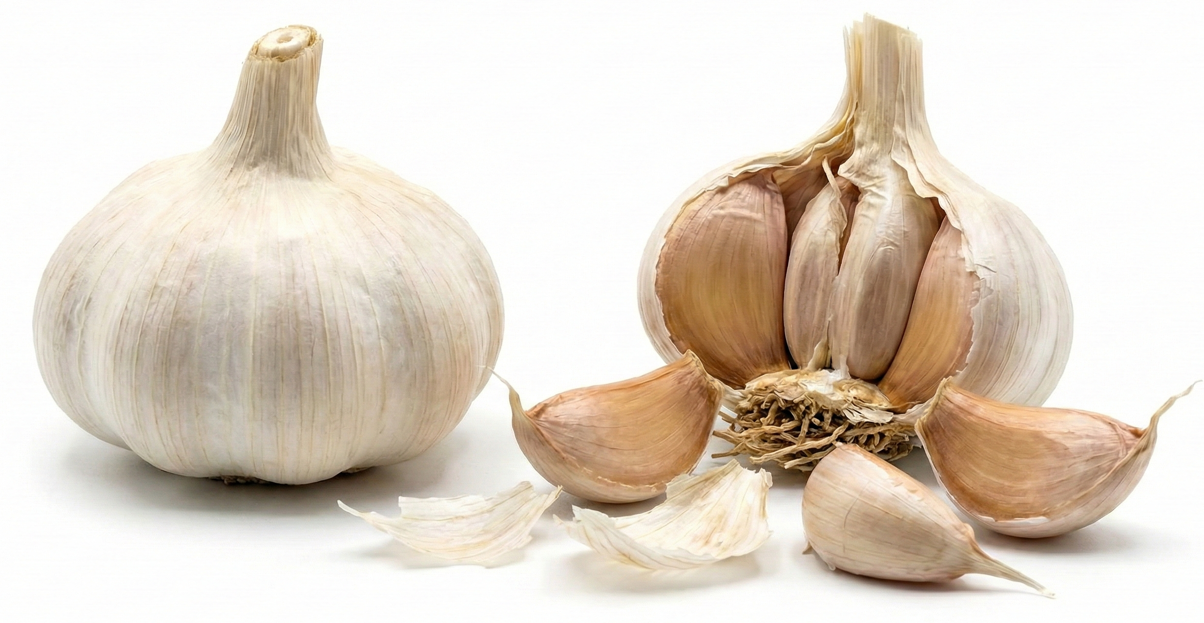 Knoflook zelf kweken