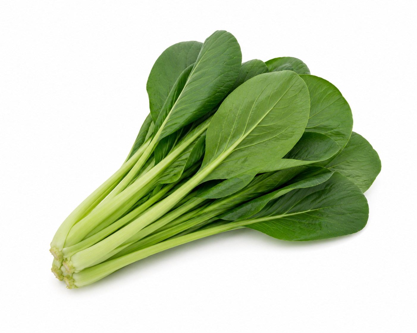 Komatsuna in je tuin