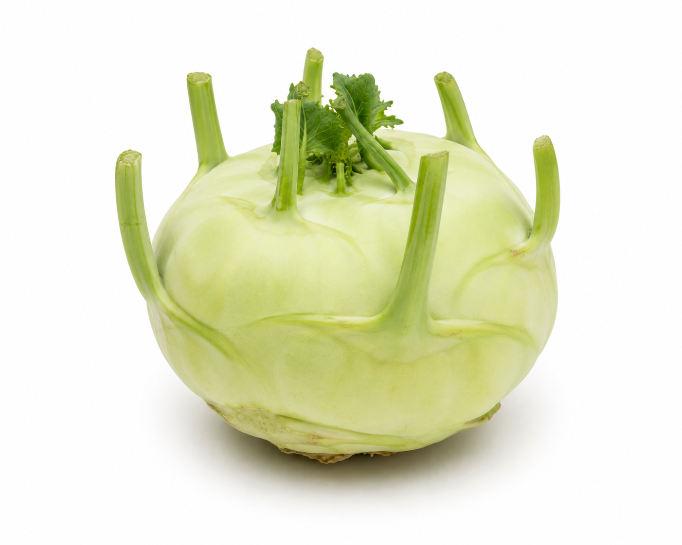 Koolrabi uit de moestuin