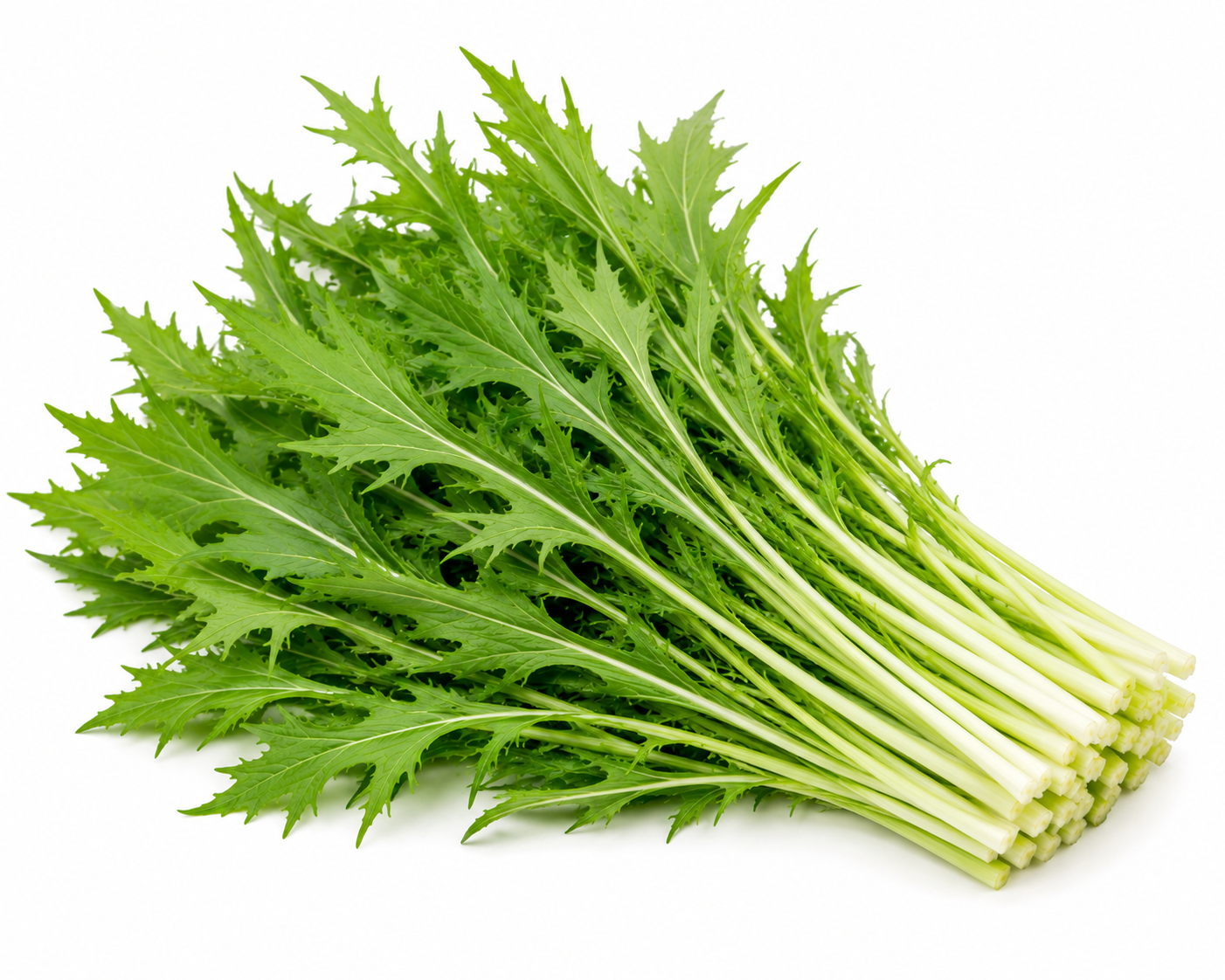 Mizuna in eigen tuin