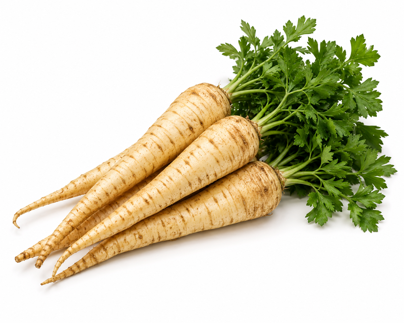 Peterseliewortel uit eigen moestuin