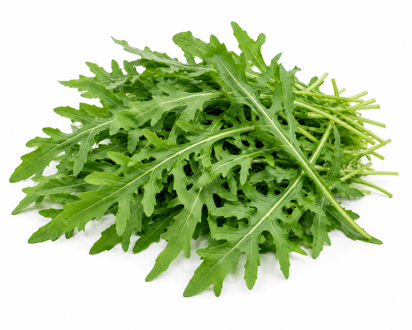 Rucola zelf telen