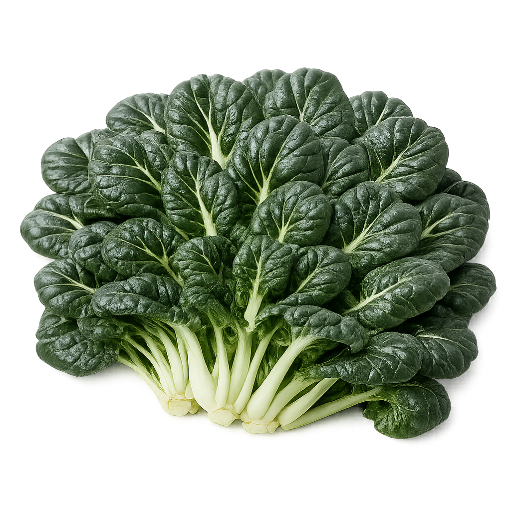 Tatsoi zelf telen